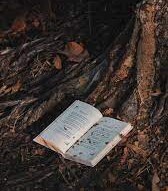 Profile Image for Robin V..