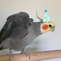 Profile Image for Kassi.
