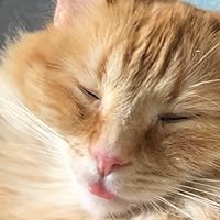 Profile Image for Taylor Stone.