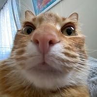 Profile Image for ray.