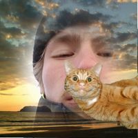 Profile Image for Aaro Sippolainen.
