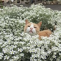 Profile Image for amy.