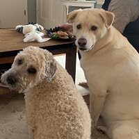 Profile Image for Molly and Finn Book Club.