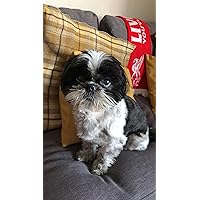 Profile Image for Bookworm.