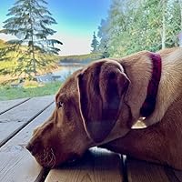 Profile Image for Julie Kilo.