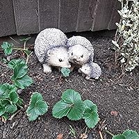 Profile Image for Noraa Sii.