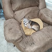 The Amish Wedding Promise (A Hidden Springs Novel, 1): Hilton, Laura V.: 9781432878092