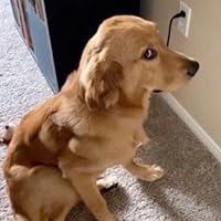 Profile Image for Gerald Sigmund.