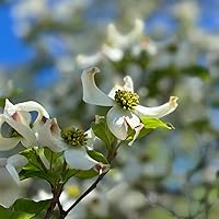 Profile Image for Julia.