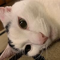 Profile Image for Ava Crocker.