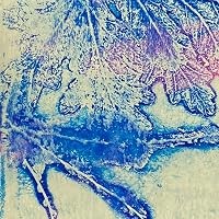 Profile Image for Lena Brinkert.