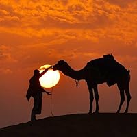 Profile Image for Abdulmalik.