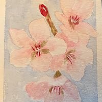Profile Image for Suzanna Gould.