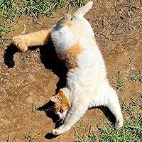 Profile Image for Kim.