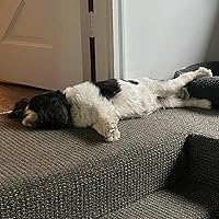 Profile Image for Carolyn.