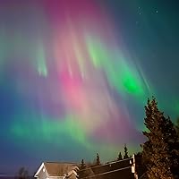 Profile Image for S..