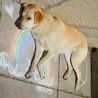 Profile Image for Eliza Beth.