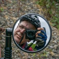 Profile Image for Phillip Jenkins.