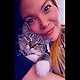 Tabitha Land