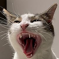 Profile Image for Joni Ransom.