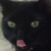 Profile Image for Lejna R.