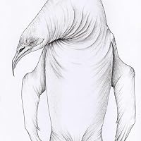 Profile Image for Parker Whitehead.