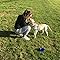 Maisy