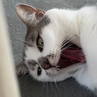 Profile Image for MG.