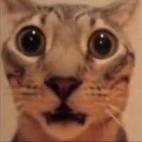 Profile Image for isa.