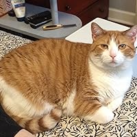 Profile Image for Joan.