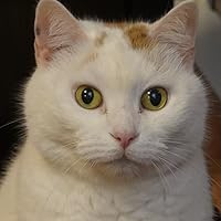 Profile Image for Paula.