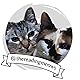 Jan + the Reading Meows
