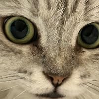 Profile Image for Beks.