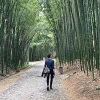 Profile Image for Joao  O.