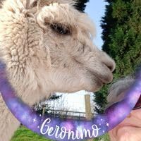 Profile Image for Patty Peeters.