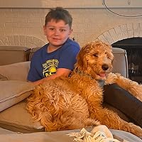 Adventure In Grand Canyon National Park: A Mystery Adventure