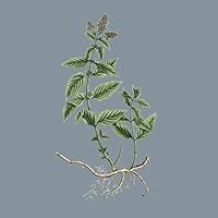 Profile Image for Bishop Juneblood.