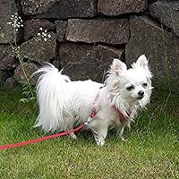 Profile Image for Anya.