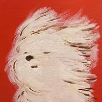 Profile Image for Jolanda.
