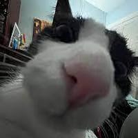 Miss Quinces by Kat Fajardo | Goodreads