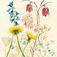 絵本・児童書 The Day I Became a Bird The Day I Became a Bird | 素敵な洋書の絵本のお店 Read Leaf Books
