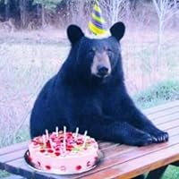 Profile Image for Cece Finucan .