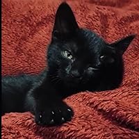 Profile Image for Nina.