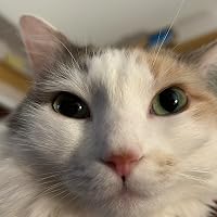 Profile Image for Amina.