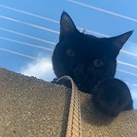 Profile Image for DizzyDawn.