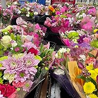 Profile Image for m.