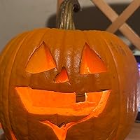 Profile Image for Teddy danger.