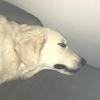 Profile Image for Addie.