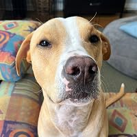 Profile Image for Austin Peppers.