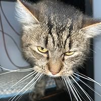 Profile Image for Emilie Bailey.